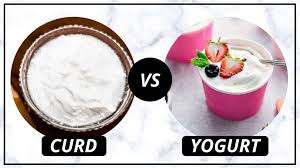CURD AND YOGURT