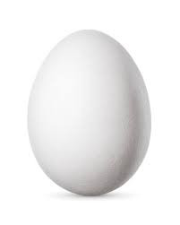 WHITE EGG 1N