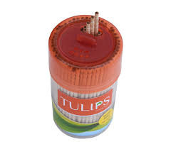TULIPS TOOTHPICK 250S